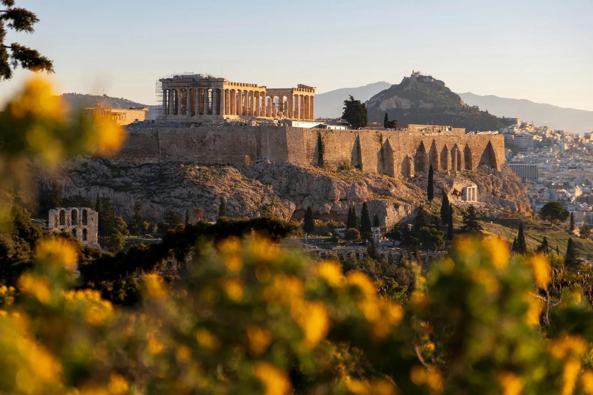 Ο βράχος της Ακρόπολης στο χρυσό απογευματινό φως μέσα από τα δέντρα της Αθήνας